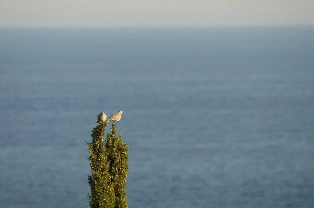 Appartamento Vista Mare Théoule-sur-Mer